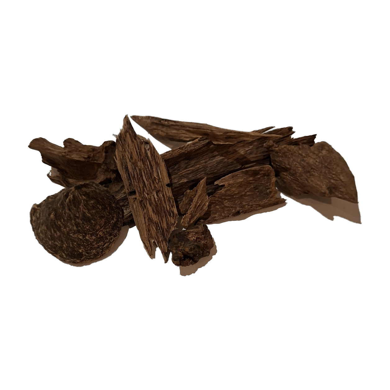 Oud Marouki (forêt) 1gr